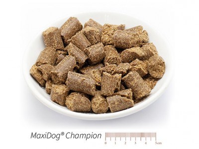 MaxiDog® Champion