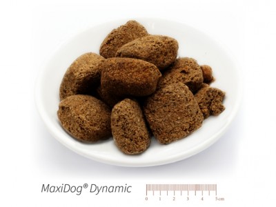 MaxiDog® Dynamic
