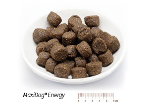 MaxiDog® Energy