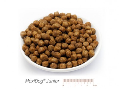 MaxiDog® Junior