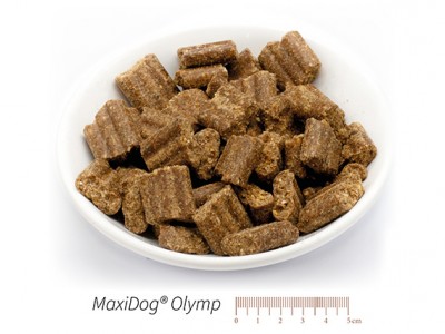 MaxiDog® Olymp