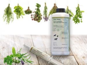 Katzen Ergänzungsprodukte Kategorie