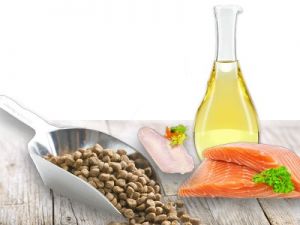 Katzen Trockenfutter